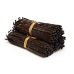 Trồng Cây Vanilla Trong Tháng 7- Các Yếu Tốt Cần Lưu Ý !?!